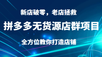 拼多多无货源店群项目，新店破零，老店拯救等全方位教你打造店铺