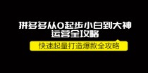 拼多多从0起步小白到大神运营全攻略，快速起量打造10W+爆款全攻略