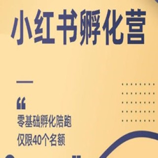 勇哥小红书撸金快速起量项目：教你如何快速起号获得曝光，做到月躺赚3000+