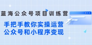 蓝海公众号项目训练营，手把手教你实操运营公众号和小程序变现