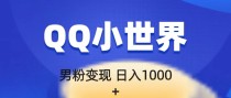 流量巨大的男粉项目新玩法，在QQ小世界里引流，一部手机即可操作，一天1000+