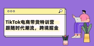 TikTok电商带货特训营，跟随时代潮流，跨境掘金（8节课）