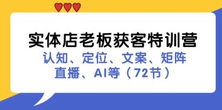 实体店老板获客特训营：认知、定位、文案、矩阵、直播、AI等（73节）