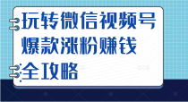 玩转微信视频号爆款涨粉赚钱全攻略，让你快速抓住流量风口，收获红利财富