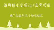 每月稳定变现2W+玄学项目，低门槛高利润,小白也能做 教程+详解