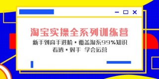 淘宝实战宝典+淘系全系列进阶，初级到进阶，覆盖淘系99%的知识，看透对手自然会运营 