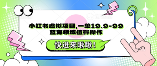 小红书虚拟项目，一单19.9-99，蓝海领域值得操作