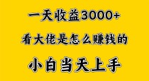 一天赚3000多，大佬是这样赚到钱的，小白当天上手，穷人翻身项目