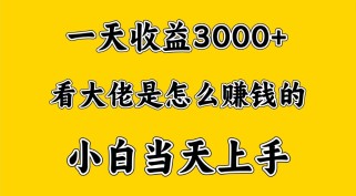 一天赚3000多，大佬是这样赚到钱的，小白当天上手，穷人翻身项目