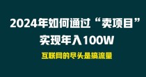 2024年如何通过“卖项目”实现年入100W