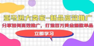 亚马逊大卖家新品高效推广，分享如何高效推广，打造百万美金爆款单品