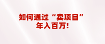 2023年最火项目：通过“卖项目”年入百万！普通人逆袭翻身的唯一出路