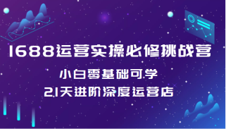 1688运营实操必修挑战营 小白零基础可学，21天进阶深度运营店（价值688元）