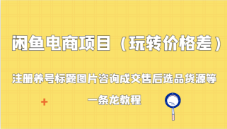 闲鱼电商项目（玩转价格差）：注册养号标题图片咨询成交售后选品货源等，一条龙教程