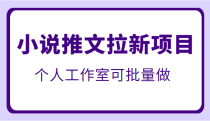 外面收费6880的小说推文拉新项目，个人工作室可批量操作