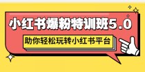 小红书爆粉特训班5.0，助你轻松玩转小红书平台价值1380元