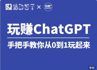 价值399 国内Top1 玩赚ChatGPT社群视频课（第七期）