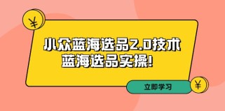 拼多多培训第33期：小众蓝海选品2.0技术-蓝海选品实操