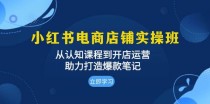 小红书电商店铺实操班：从认知课程到开店运营，助力打造爆款笔记