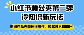 小红书蒲公英第二弹冷知识新玩法，照搬作品无需任何操作，轻松日入2000+！