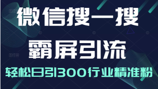 微信搜一搜霸屏引流课，打造被动精准引流系统，轻松日引300行业精准粉