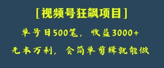 日收款500笔，纯利润3000+，视频号狂飙项目！