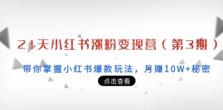 21天小红书涨粉变现营（第3期）：带你掌握小红书爆款玩法，月赚10W+秘密（无水印）