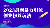 价值980元的2023最新暴力引流创业粉丝玩法（教程+素材）