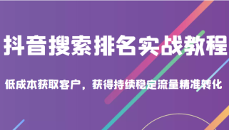 抖音搜索排名实战教程，低成本获取客户，获得持续稳定搜索流量精准转化