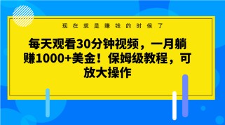 每天观看30分钟视频，一月躺赚1000+美金！保姆级教程，可放大操作