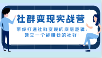 社群变现实战营，带你打通社群变现的底层逻辑，建立一个能赚钱的社群！