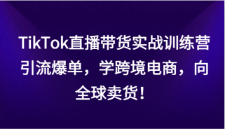 TikTok直播带货实战训练营，引流爆单，学跨境电商，向全球卖货！