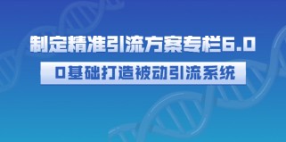 制定精准引流方案专栏6.0：0基础打造被动引流系统（价值1380元）