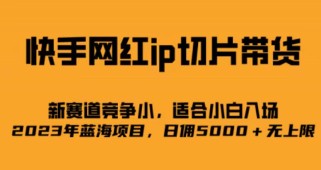 快手网红ip切片新赛道，竞争小，适合小白  2023蓝海项目