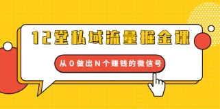 12堂私域流量掘金课：打通私域４大关卡，从０做出Ｎ个赚钱的微信号