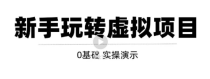 0基础虚拟项目实操演示，教你打造月入上万虚拟店铺！【视频教程】  