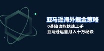 亚马逊海外掘金策略，0基础也能快速上手，亚马逊运营月入十万秘诀