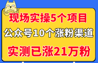 现场实操5个公众号项目，10个涨粉渠道，实测已涨21万粉！（无水印）