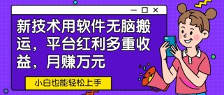 新技术用软件无脑搬运，平台红利多重收益，月赚万元，小白也能轻松上手