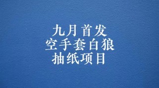 0成本，日入100-500空手套白狼抽纸项目，保姆级教学