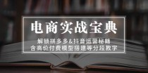 电商实战宝典：解锁拼多多，抖音运营秘籍，含高价付费模型搭建等分段教学