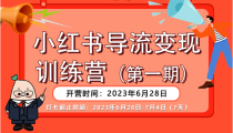 小红书导流变现营，一线实操实战团队总结，真正实战，全是细节！