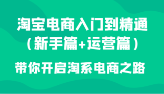 淘宝电商入门到精通（新手篇+运营篇）带你开启淘系电商之路