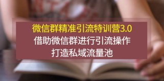  微信群精准引流特训营3.0，借助微信群进行引流操作，打造私域流量池