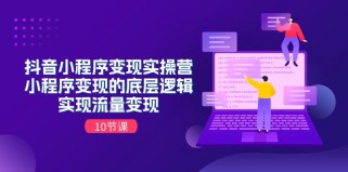 抖音小程序变现实操营，小程序变现的底层逻辑，实现流量变现（10节课）