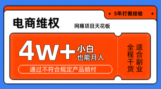 网赚项目天花板电商购物维权月收入稳定4w+独家玩法小白也能上手