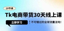 Tk电商带货30天线上课，不可错过的全球流量洼地（29节课）