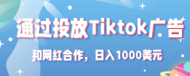 Tiktok赚钱项目：通过投放Tiktok广告，和网红合作，日入1000美元