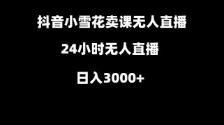 抖音小雪花卖缝补收纳教学视频课程，无人直播日入3000+