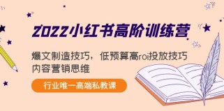 小红书高阶训练营：爆文制造技巧，低预算高roi投放技巧，内容营销思维